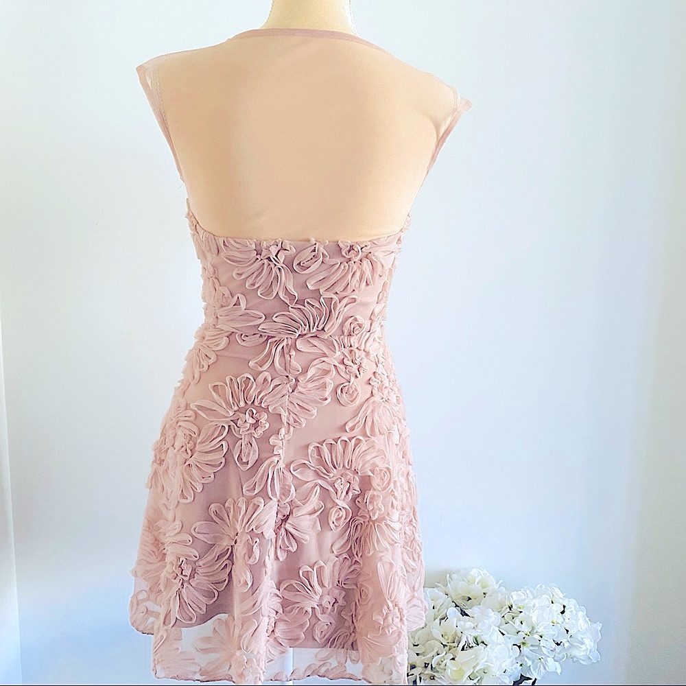 💕Fit and Flare Mesh Dress SZ S - Picture 2 of 15